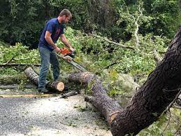 Best Tree Preservation Services  in Vancouver, WA